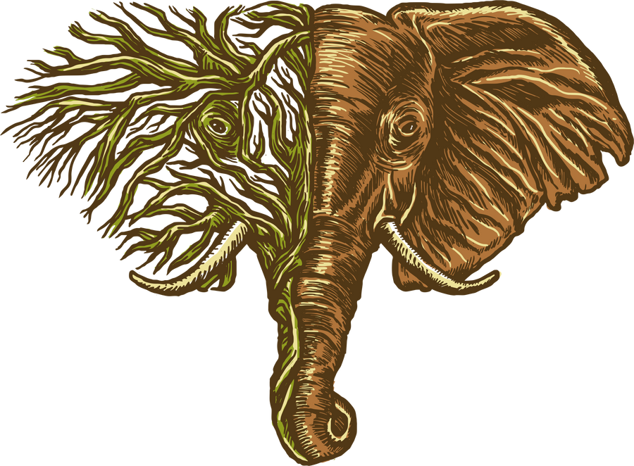 Unisex Viscose Hemp and Organic Cotton Tee African Elephant
